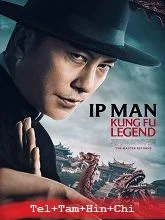 Ip Man: Kung Fu Legend (2026) BRRip Telugu Dubbed